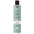 Шампунь для кучерявого та хвилястого волосся Curly Cool Elasticizing shampoo, 250мл